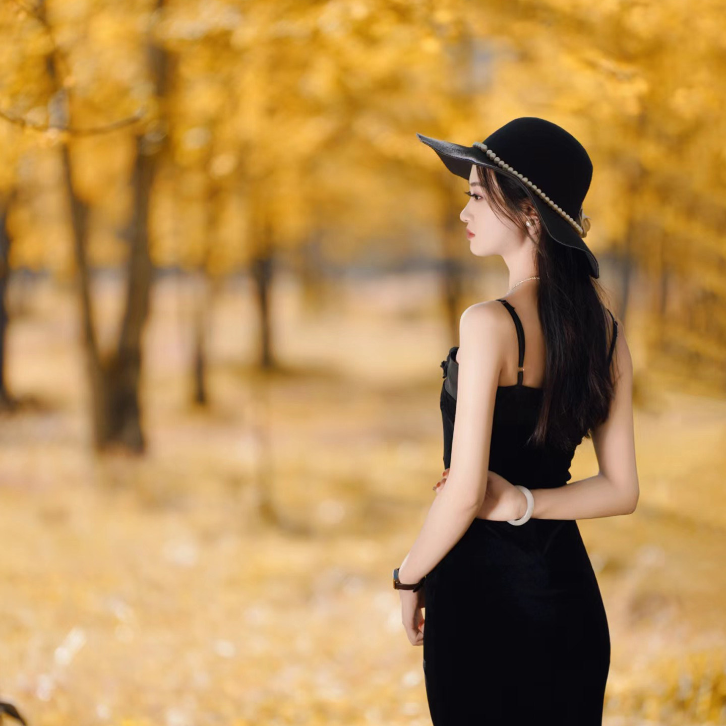 云南芒市瑞丽腾冲6天5晚跟团游勐巴娜西珍奇园大金塔银杏村旅游