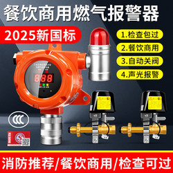 Gas Leak Alarm with Dual Output for Catering, Combustible Gas, Liquefied Gas Alarm, Automatic Shut-Off Valve for Commercial Use