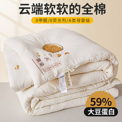 All-Cotton Quilt, Soybean Fiber Thickened Warm Winter Quilt, Cotton Quilt, Spring and Autumn Quilt Core, Pure Cotton Dormitory Air-Conditioning Quilt, All-Season