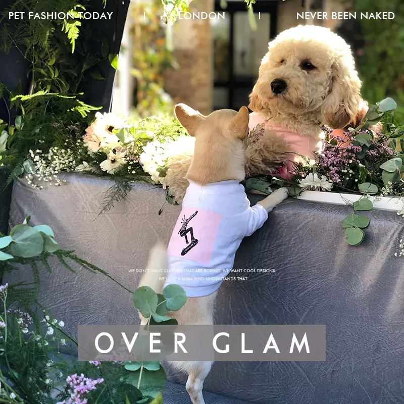 Over Glam - Pet Fashion – OVERGLAM LONDON