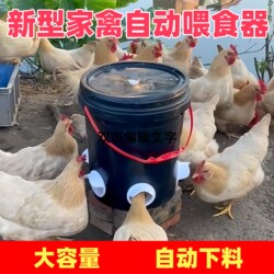 Large Chicken Feed Trough, Special Feed Bucket for Raising Chickens, Automatic Poultry Feeder, New Model Automatic Feeder for Chickens, Ducks, and Geese
