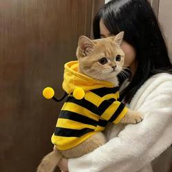 Anti-Shedding Cat Clothes, Autumn and Winter Style, Fleece-Lined, Warm, Little Bee Pet Clothes for Kittens and Dogs, Cute Transformation Outfit