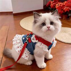 Cat Harness Pet Dog Clothes Princess Dress Thin Denim Cartoon Leash Dress Small Dog Spring and Summer New Product