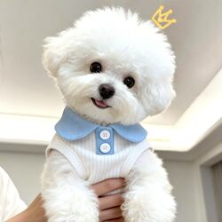 Puppy Clothes Spring and Summer Thin Lapel Polo Shirt Pet Breathable Anti-Shedding Vest Golden Gradient Ragdoll Clothes
