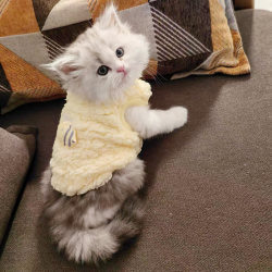 Autumn and winter small pet warm clothing bee vest
