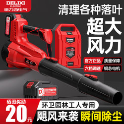 Delixi Electric Lithium Battery Blower High-Power Powerful Air Blower Industrial Grade Cleaning Tool for Blowing Leaves