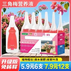 Oil vine bougainvillea plant regeneration agent dilution-free nutrient solution green plant flower potted gardening water-soluble fertilizer nutrient solution
