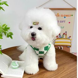 Pet Dog and Cat Clothes, New Winter Style ins Plush Warm Vest for Teddy, Bichon, Poodle, with Leash Attachment