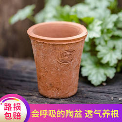 Red Clay Succulent Small Flower Pot, Simple and Creative Ceramic Flower Vessel, Coarse Pottery Clay Breathable Cement-Absorbing Clay Pot, Special Clearance Sale