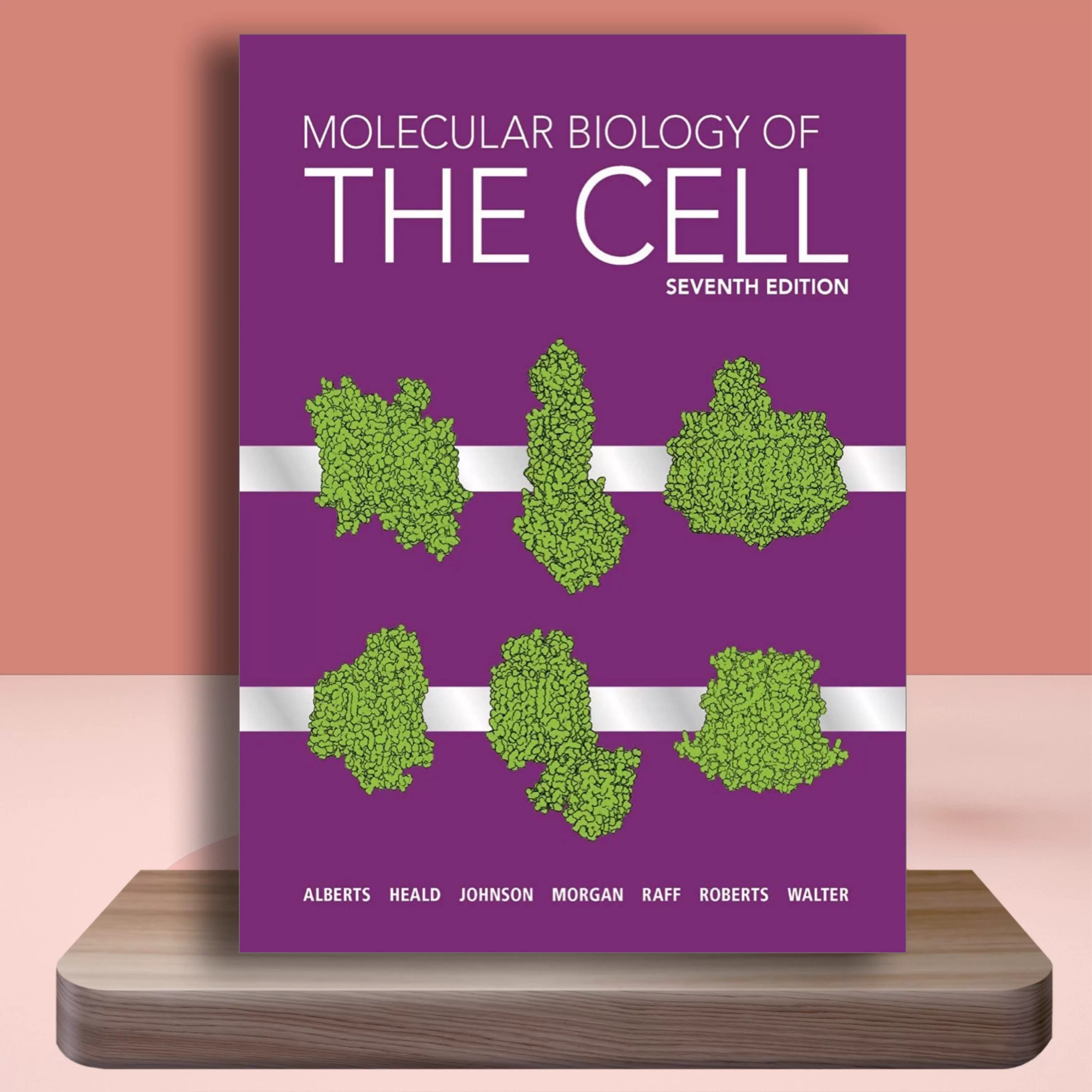 细胞分子生物学Molecular Biology of the Cell 7th 第7版英文书