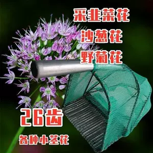 采摘神器菊花- Top 100件采摘神器菊花- 2024年3月更新- Taobao