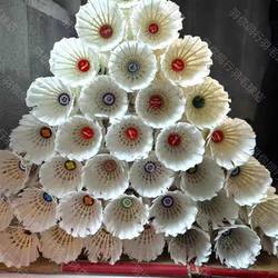 A Box of Badminton Training Balls, 8-9-in New Each with 1-3 Broken Hair, Mixed Pack of Lesson Training Balls for Novices