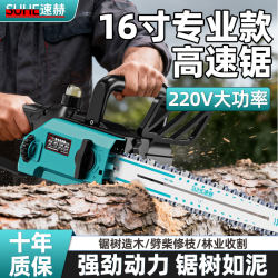 Electric Chainsaw for Home Use, Small Logging Saw, 220V Handheld Plug-In Tree Cutting Tool, Electric Chain Saw