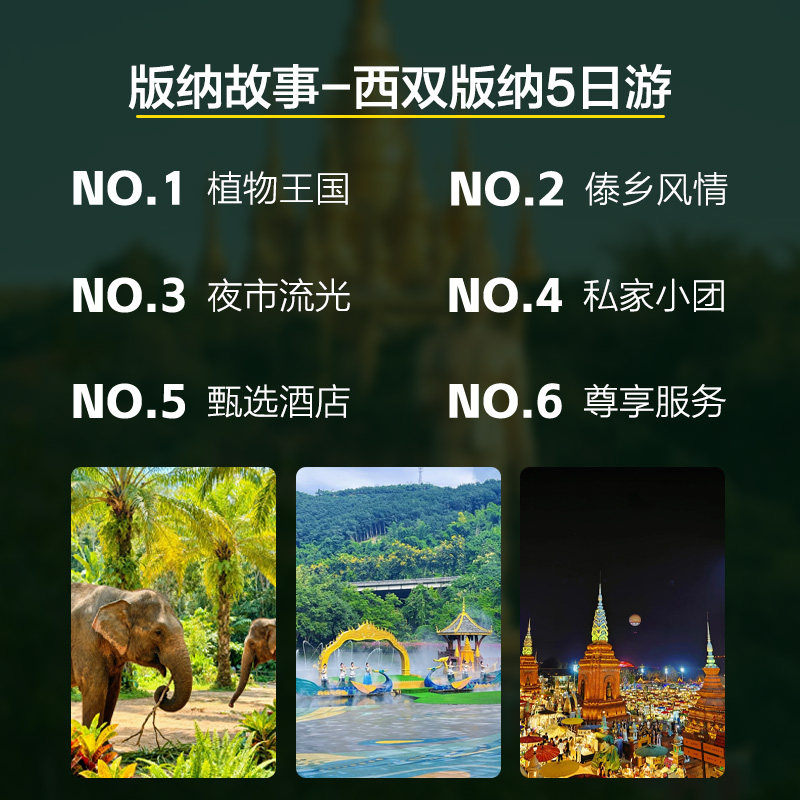 私家小团云南5日游西双版纳野象谷中科院植物园星光夜市5日安4晚