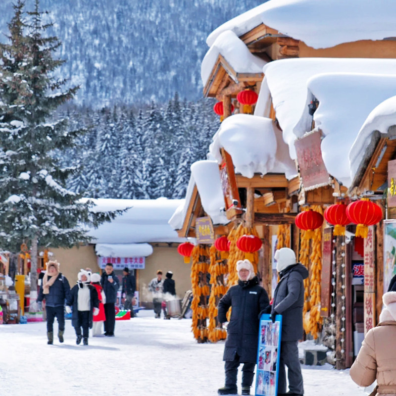 哈尔滨亚布力雪乡漠河旅游8天7晚游+升级4钻酒店+北极光+VIP滑雪