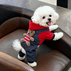 Dog Clothes for Autumn and Winter, Thickened Warm Cotton Coat for Poodles, Teddy, Bichon, Pomeranian, Small Dogs, and Cats, Four-Legged Outfit