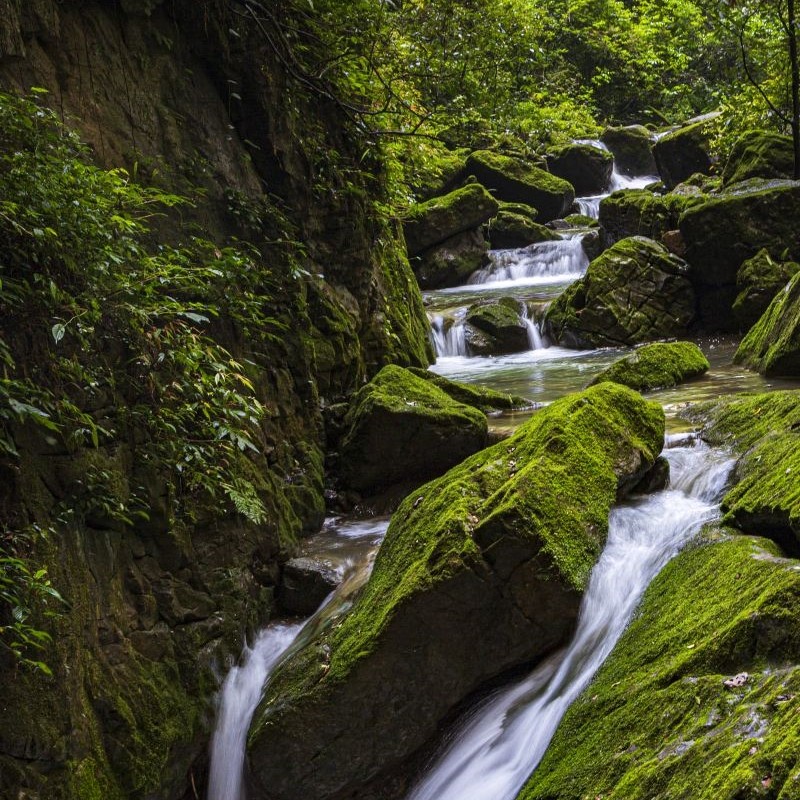 武隆天生三桥+地缝/仙女山+乌江画廊一日游&2-8人小团·含换乘车