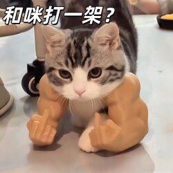【Fight with Mimi】Cat Middle Finger Boxing Muscle Arm 3D Printed Funny Toy Pet Prank Prop