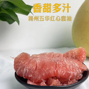 三德食品 梅州五华红肉蜜柚6斤 单果1300-1600g