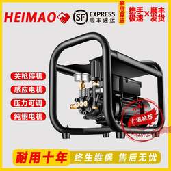 Black Cat Adjustable Pressure High-Pressure Car Washer with Large Pump Power, 220V Cleaning Machine, Powerful Car Washing Tool, Car Washing Water Gun