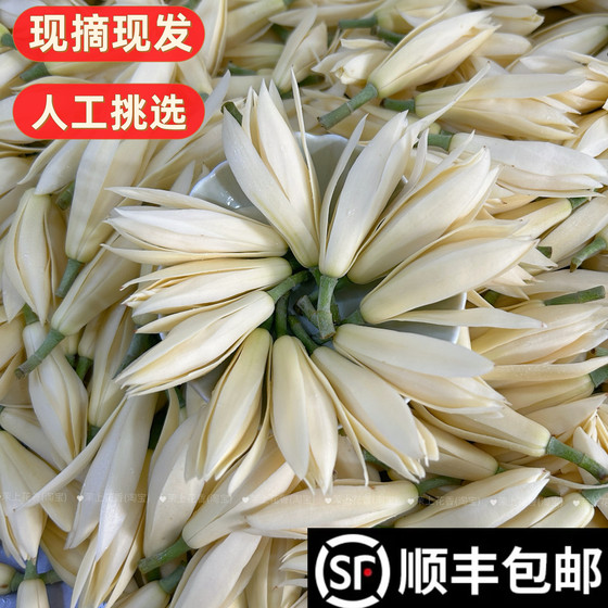 
Freshly picked white magnolia flowers are rich in fragrance. Freshly picked yellow horn orchid, Burmese osmanthus, yellow fruit orchid and white orchid flowers.