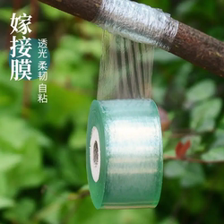 Tree Wrapping Film, Fruit Tree Grafting Film, Plastic Film, Self-Adhesive Multi-Functional Anti-Freeze and Warm Protection Film, Special for Gardening
