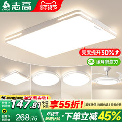 Living Room Main Light, Eye-Protecting Ceiling Light, Modern, Simple and Elegant, Zhongshan Lighting Fixtures, Whole House 2025 New Model, This Year's Popular Light