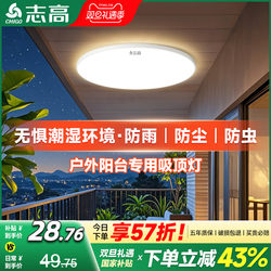 Balcony-Specific Ceiling Light 2025 New Model Insect-Proof Waterproof Small Size Three-Proof Outdoor Super Bright Led Outdoor Round Light