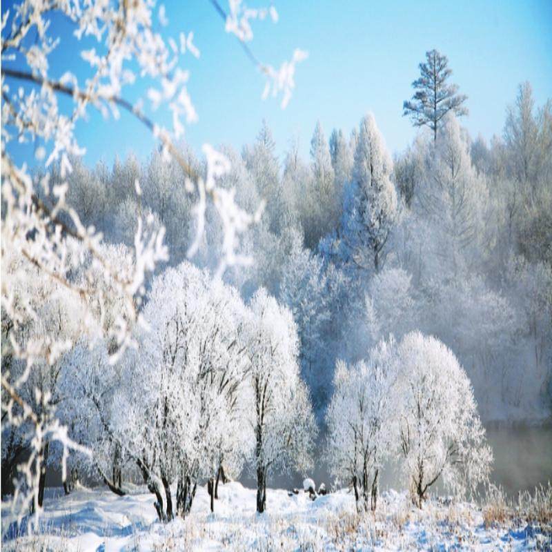 长进哈出/冬游记6日游/长春+长白山+雪乡+哈尔滨/2+1陆地头等舱