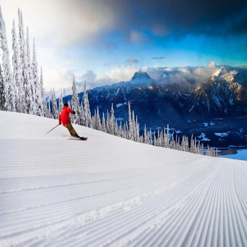 中国雪乡+亚布力滑雪纯玩2日游/含马拉爬犁/ 二人转/ 梦幻家园