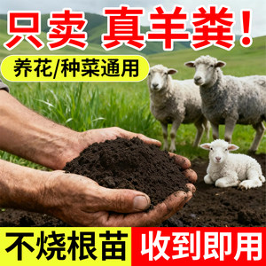 
Sheep dung fermented organic fertilizer for vegetables, non-burning root seedlings, sheep dung farmyard fertilizer for flower and vegetable cultivation, general nutritionist