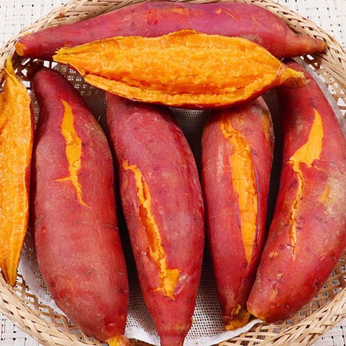 【三sku加购到手3元】河南龙九红薯3斤装