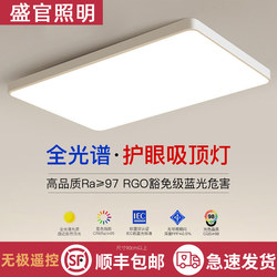 2025 New Led Ceiling Lamp Room Bedroom Lamp Living Room Lamp Hall Modern Casual Atmospheric Zhongshan Lamp 1