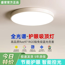 Led Ceiling Light Room Bedroom Light Main Living Room Light Hall Modern Simple and Elegant 2026 New Zhongshan Lighting Fixtures 2