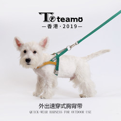 Small Dog Leash, Vest-Style Dog Leash, Dog Walking Chain, Harness for Small and Medium-Sized Dogs, Lightweight and Non-Restrictive for Teddy and French Bulldog