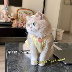 Spring and Summer New Pet Anti-Shedding Vest for Dogs and Cats, Waffle Breathable Clothing Necklace Set, Golden Gradient Cat