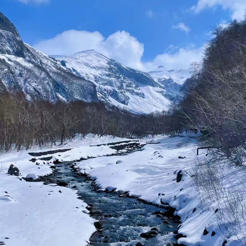 东北畅玩10日哈尔滨漠河最北点雪乡长白山天池魔界漂流+雪岭延吉