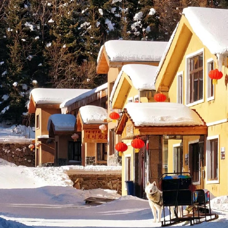 亚布力雪乡3日+滑雪3小时+萌宠鹿园+冰雪欢乐谷+冰雪十里画廊