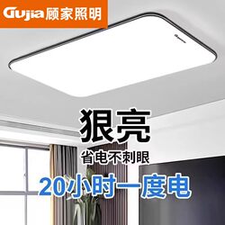 2026 New Model Led Ceiling Light for Room, Bedroom, Living Room, Hall, Modern Simple and Elegant Zhongshan Lighting Fixtures 7