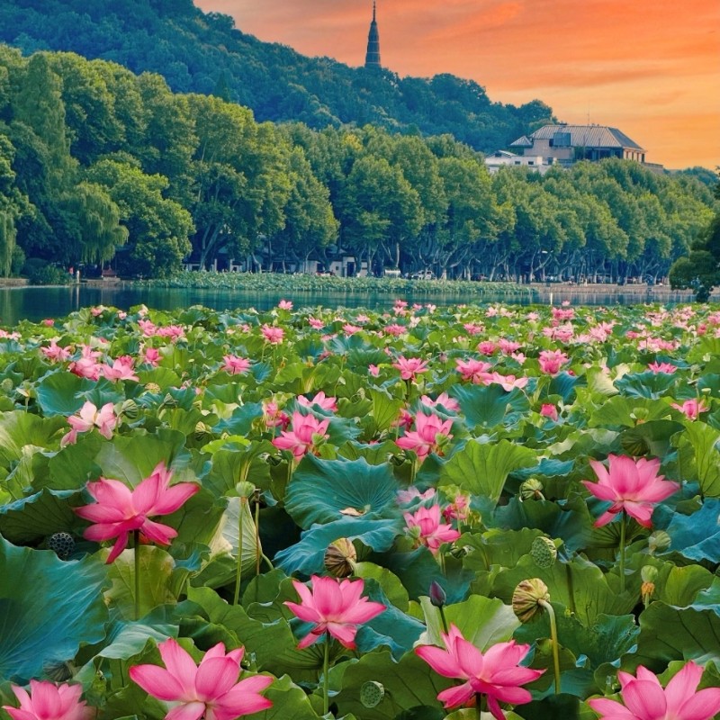 含往返飞机票|沪苏杭 4天3晚|自由行|豫园|拙政园|雷峰塔|4钻酒店