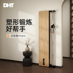 Dht Dual-Pull Wall-Mounted Small Bird Comprehensive Strength Training Device Home Gym Rack for Men and Women to Shape and Build Muscle