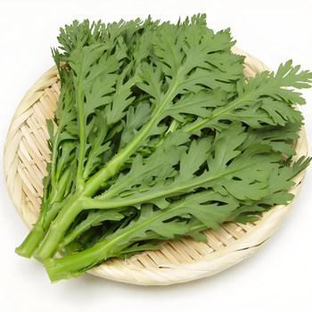 The middle leaf of Emperor's vegetable Chinese cabbage seeds and vegetables in four seasons