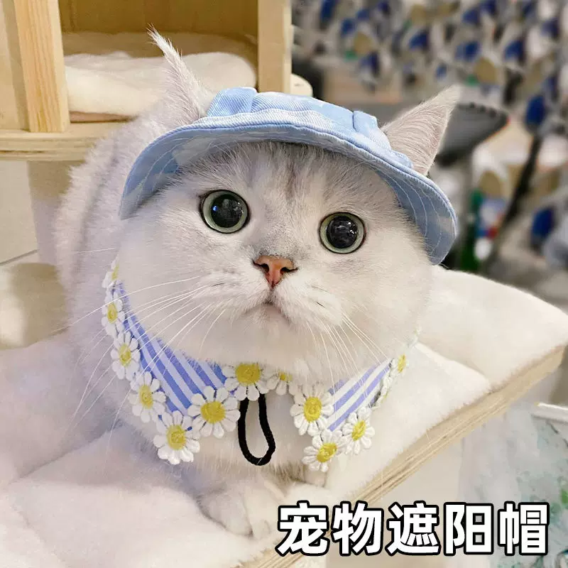 ユージナキム☆猫ちゃん帽子 ユージナキム☆猫ちゃん帽子