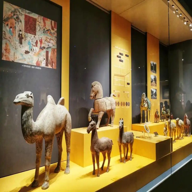 西安城墙含门票+永兴坊+博物院+小雁塔+钟鼓楼,商务车/专业导游