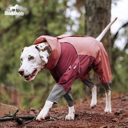 Blackdoggy Waterproof Four-Legged Raincoat for Small Dogs, Pet Dog Jacket, Outdoor Lightweight Clothing, Dirt-Proof and Windproof