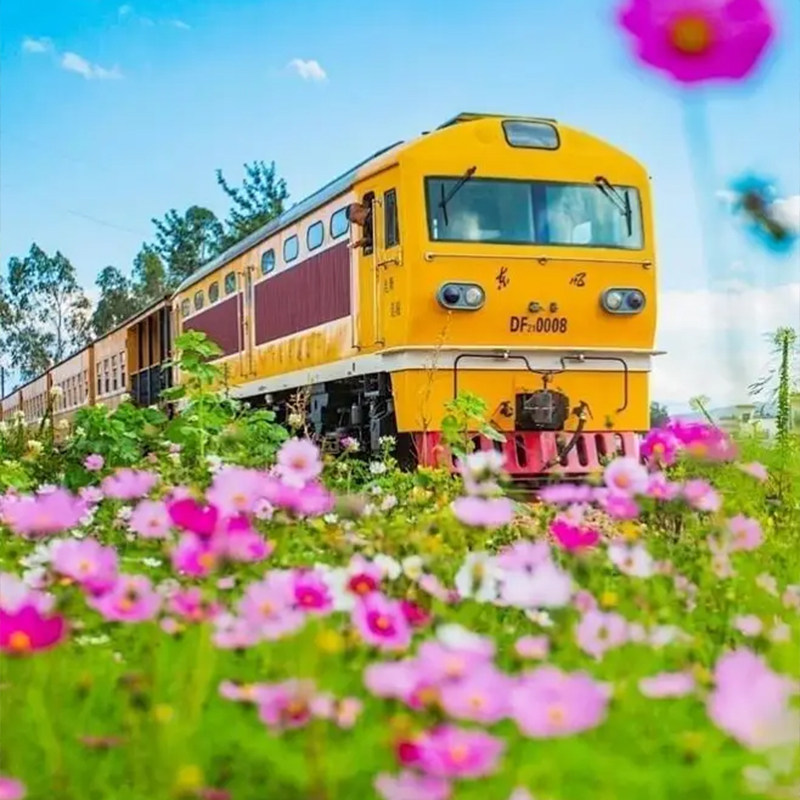 云南8天旅游|1人起订|纯玩0购物|普者黑-石屏-蒙自-建水-元阳弥勒