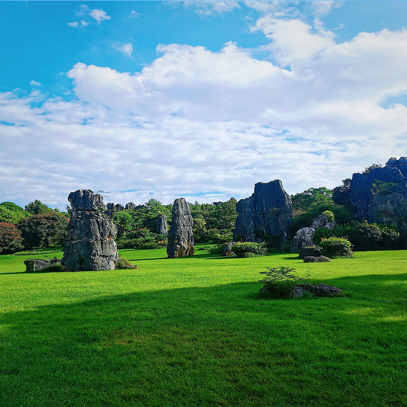赠旅拍云南昆明大理洱海丽江蓝月谷云杉坪洱海-2+1保姆车6天纯玩