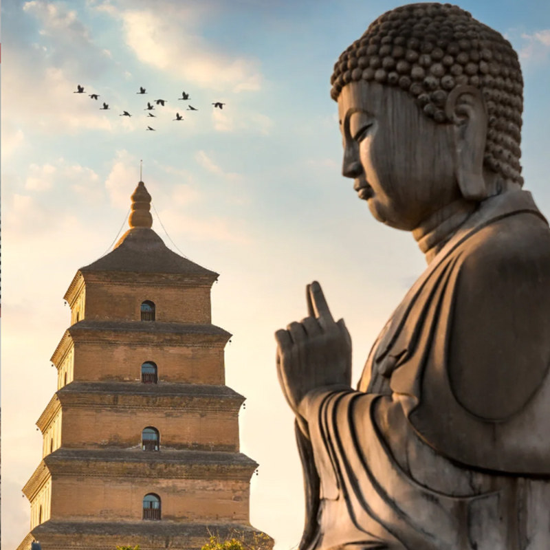 西安纯玩0购物5天4晚 | 华山风景区兵马俑钟楼广场大唐不夜城骊山