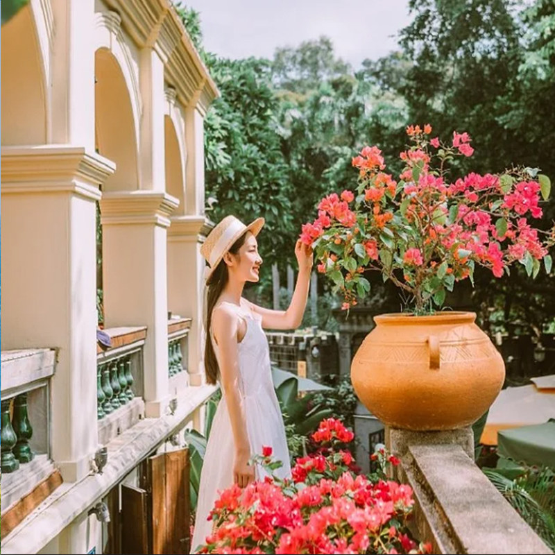 5天4晚厦门旅游集美学村南普陀鱼趣曾厝垵鼓浪屿赶海纯玩半自由行