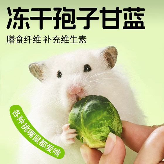 
Hamster freeze-dried spore cabbage golden bear vegetable food snack molar stick honey bag special food for gliders